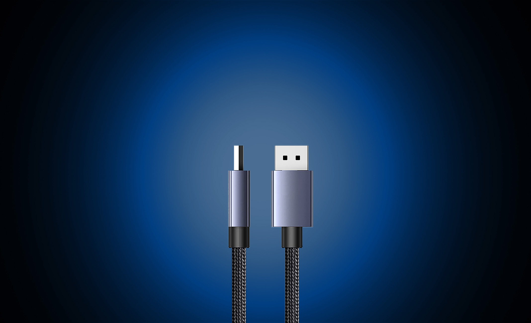 DisplayPort 与 HDMI 高速连接线组件